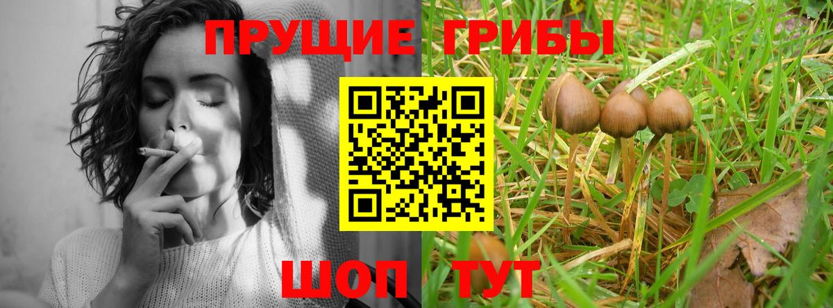 Псилоцибиновые грибы мухоморы Северобайкальск