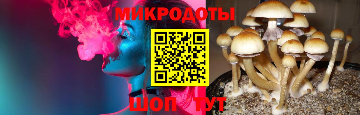 Северобайкальск  Псилоцибиновые грибы GOLDEN TEACHER  Галлюциногенные грибы Psilocybine cubensis  Вход с VPN 